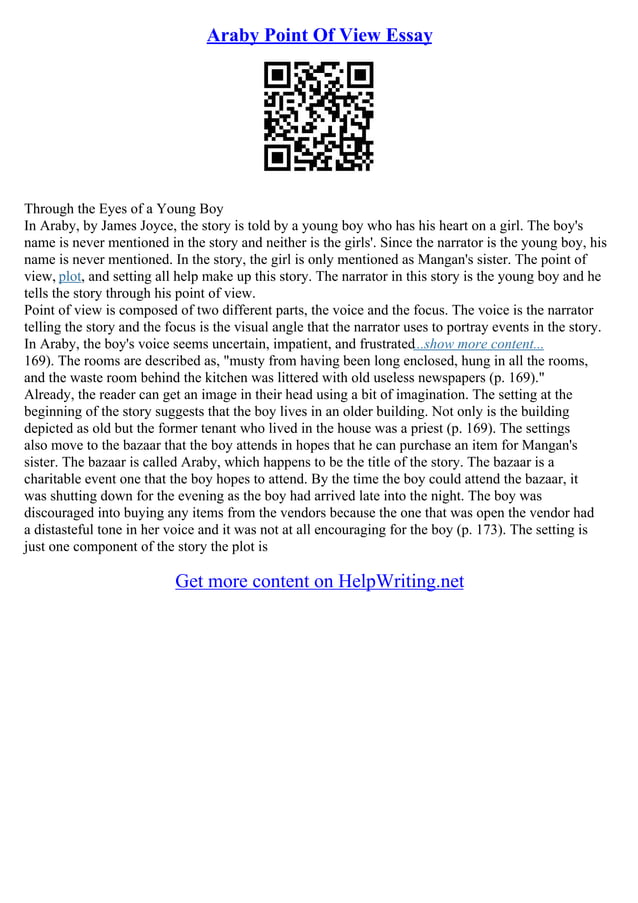 Essay Point Of View PDF