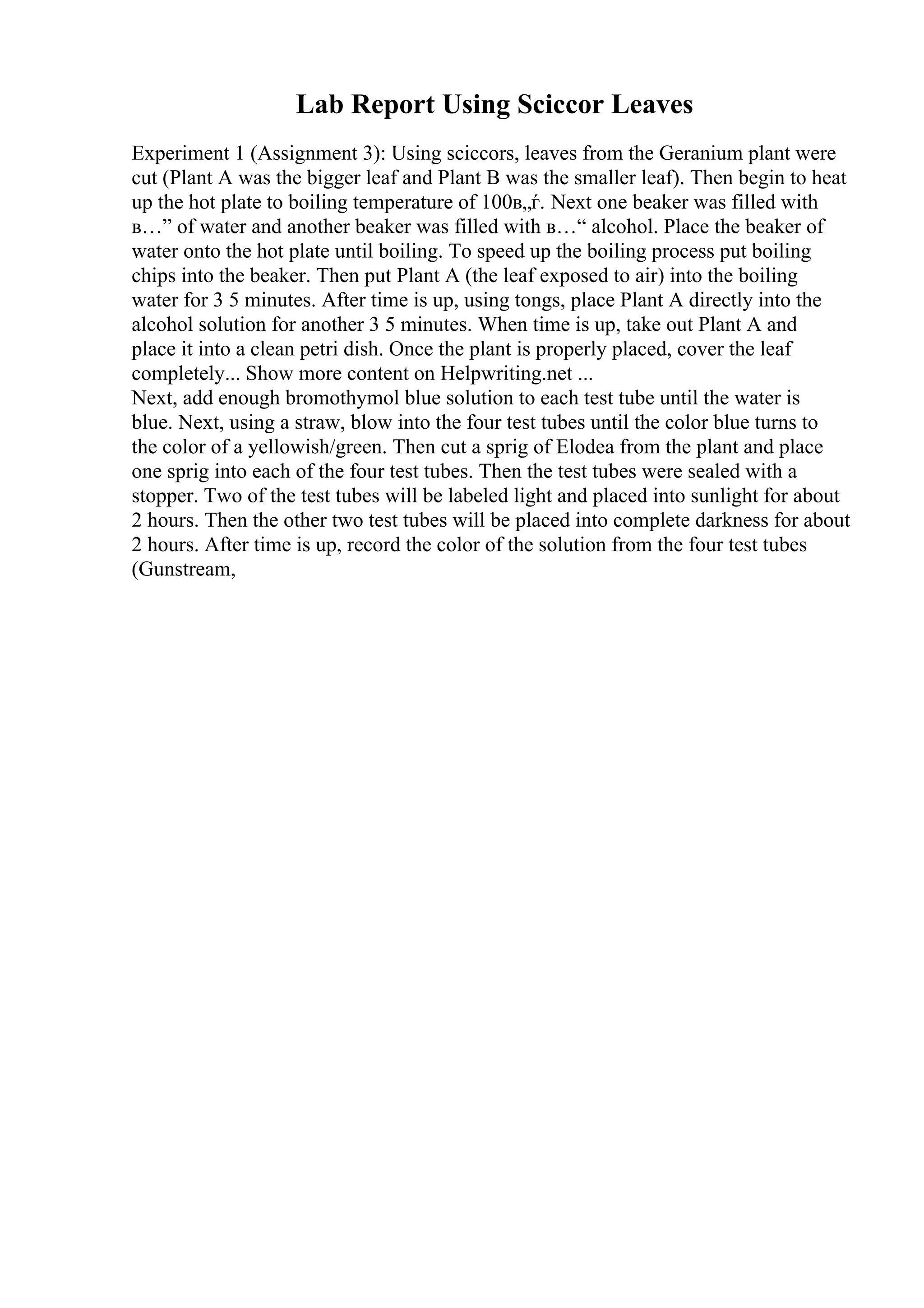 Lab Report Using Sciccor Leaves
Experiment 1 (Assignment 3): Using sciccors, leaves from the Geranium plant were
cut (Plant A was the bigger leaf and Plant B was the smaller leaf). Then begin to heat
up the hot plate to boiling temperature of 100в„ѓ. Next one beaker was filled with
в…” of water and another beaker was filled with в…“ alcohol. Place the beaker of
water onto the hot plate until boiling. To speed up the boiling process put boiling
chips into the beaker. Then put Plant A (the leaf exposed to air) into the boiling
water for 3 5 minutes. After time is up, using tongs, place Plant A directly into the
alcohol solution for another 3 5 minutes. When time is up, take out Plant A and
place it into a clean petri dish. Once the plant is properly placed, cover the leaf
completely... Show more content on Helpwriting.net ...
Next, add enough bromothymol blue solution to each test tube until the water is
blue. Next, using a straw, blow into the four test tubes until the color blue turns to
the color of a yellowish/green. Then cut a sprig of Elodea from the plant and place
one sprig into each of the four test tubes. Then the test tubes were sealed with a
stopper. Two of the test tubes will be labeled light and placed into sunlight for about
2 hours. Then the other two test tubes will be placed into complete darkness for about
2 hours. After time is up, record the color of the solution from the four test tubes
(Gunstream,
 