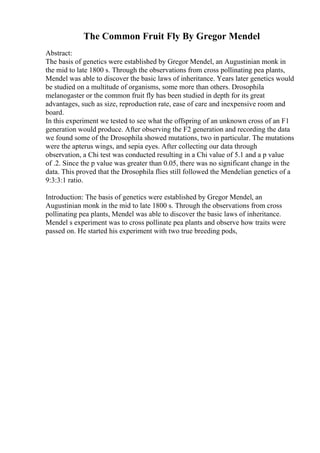 The Common Fruit Fly By Gregor Mendel
Abstract:
The basis of genetics were established by Gregor Mendel, an Augustinian monk in
the mid to late 1800 s. Through the observations from cross pollinating pea plants,
Mendel was able to discover the basic laws of inheritance. Years later genetics would
be studied on a multitude of organisms, some more than others. Drosophila
melanogaster or the common fruit fly has been studied in depth for its great
advantages, such as size, reproduction rate, ease of care and inexpensive room and
board.
In this experiment we tested to see what the offspring of an unknown cross of an F1
generation would produce. After observing the F2 generation and recording the data
we found some of the Drosophila showed mutations, two in particular. The mutations
were the apterus wings, and sepia eyes. After collecting our data through
observation, a Chi test was conducted resulting in a Chi value of 5.1 and a p value
of .2. Since the p value was greater than 0.05, there was no significant change in the
data. This proved that the Drosophila flies still followed the Mendelian genetics of a
9:3:3:1 ratio.
Introduction: The basis of genetics were established by Gregor Mendel, an
Augustinian monk in the mid to late 1800 s. Through the observations from cross
pollinating pea plants, Mendel was able to discover the basic laws of inheritance.
Mendel s experiment was to cross pollinate pea plants and observe how traits were
passed on. He started his experiment with two true breeding pods,
 