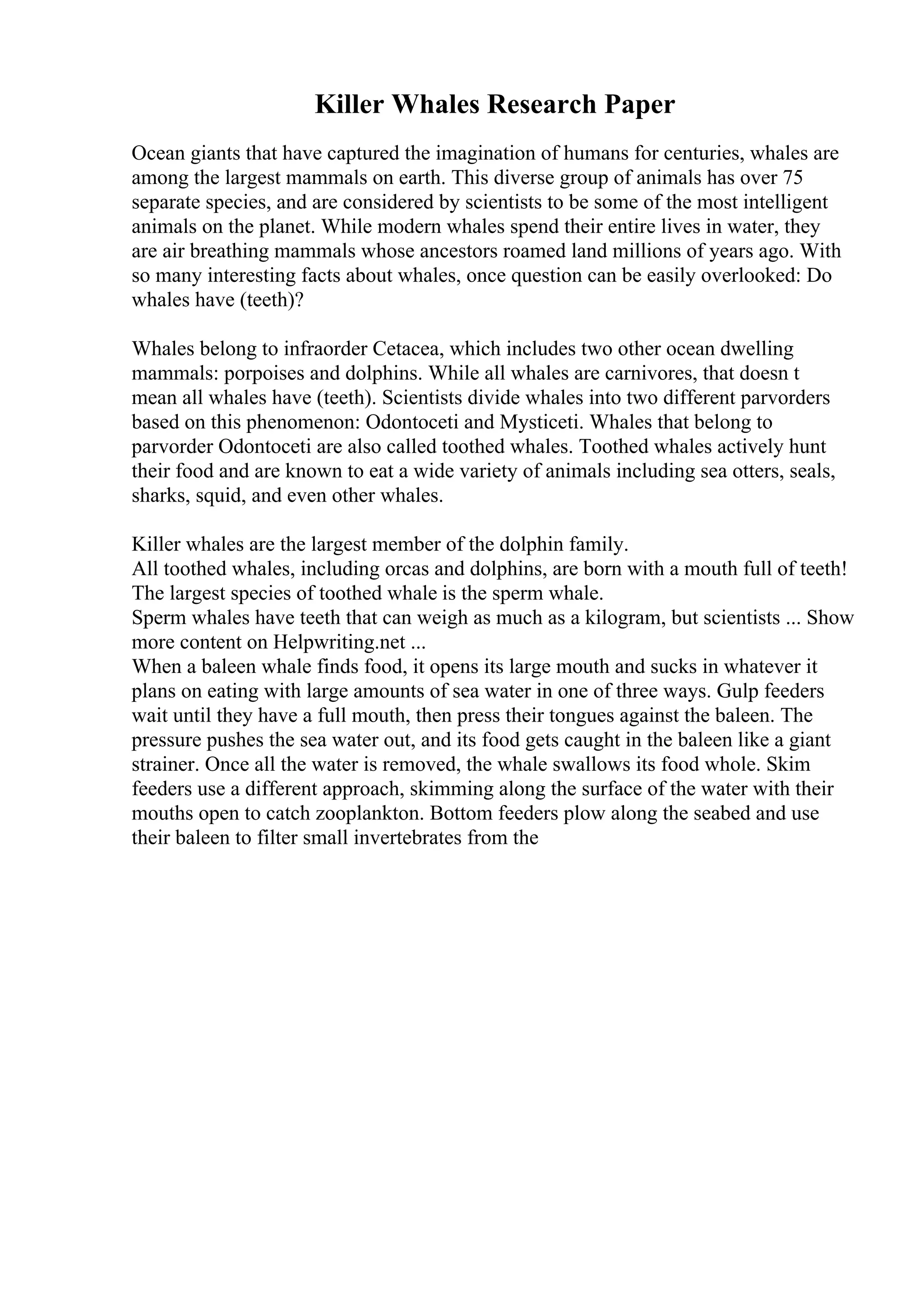 Killer Whales Research Paper
Ocean giants that have captured the imagination of humans for centuries, whales are
among the largest mammals on earth. This diverse group of animals has over 75
separate species, and are considered by scientists to be some of the most intelligent
animals on the planet. While modern whales spend their entire lives in water, they
are air breathing mammals whose ancestors roamed land millions of years ago. With
so many interesting facts about whales, once question can be easily overlooked: Do
whales have (teeth)?
Whales belong to infraorder Cetacea, which includes two other ocean dwelling
mammals: porpoises and dolphins. While all whales are carnivores, that doesn t
mean all whales have (teeth). Scientists divide whales into two different parvorders
based on this phenomenon: Odontoceti and Mysticeti. Whales that belong to
parvorder Odontoceti are also called toothed whales. Toothed whales actively hunt
their food and are known to eat a wide variety of animals including sea otters, seals,
sharks, squid, and even other whales.
Killer whales are the largest member of the dolphin family.
All toothed whales, including orcas and dolphins, are born with a mouth full of teeth!
The largest species of toothed whale is the sperm whale.
Sperm whales have teeth that can weigh as much as a kilogram, but scientists ... Show
more content on Helpwriting.net ...
When a baleen whale finds food, it opens its large mouth and sucks in whatever it
plans on eating with large amounts of sea water in one of three ways. Gulp feeders
wait until they have a full mouth, then press their tongues against the baleen. The
pressure pushes the sea water out, and its food gets caught in the baleen like a giant
strainer. Once all the water is removed, the whale swallows its food whole. Skim
feeders use a different approach, skimming along the surface of the water with their
mouths open to catch zooplankton. Bottom feeders plow along the seabed and use
their baleen to filter small invertebrates from the
 