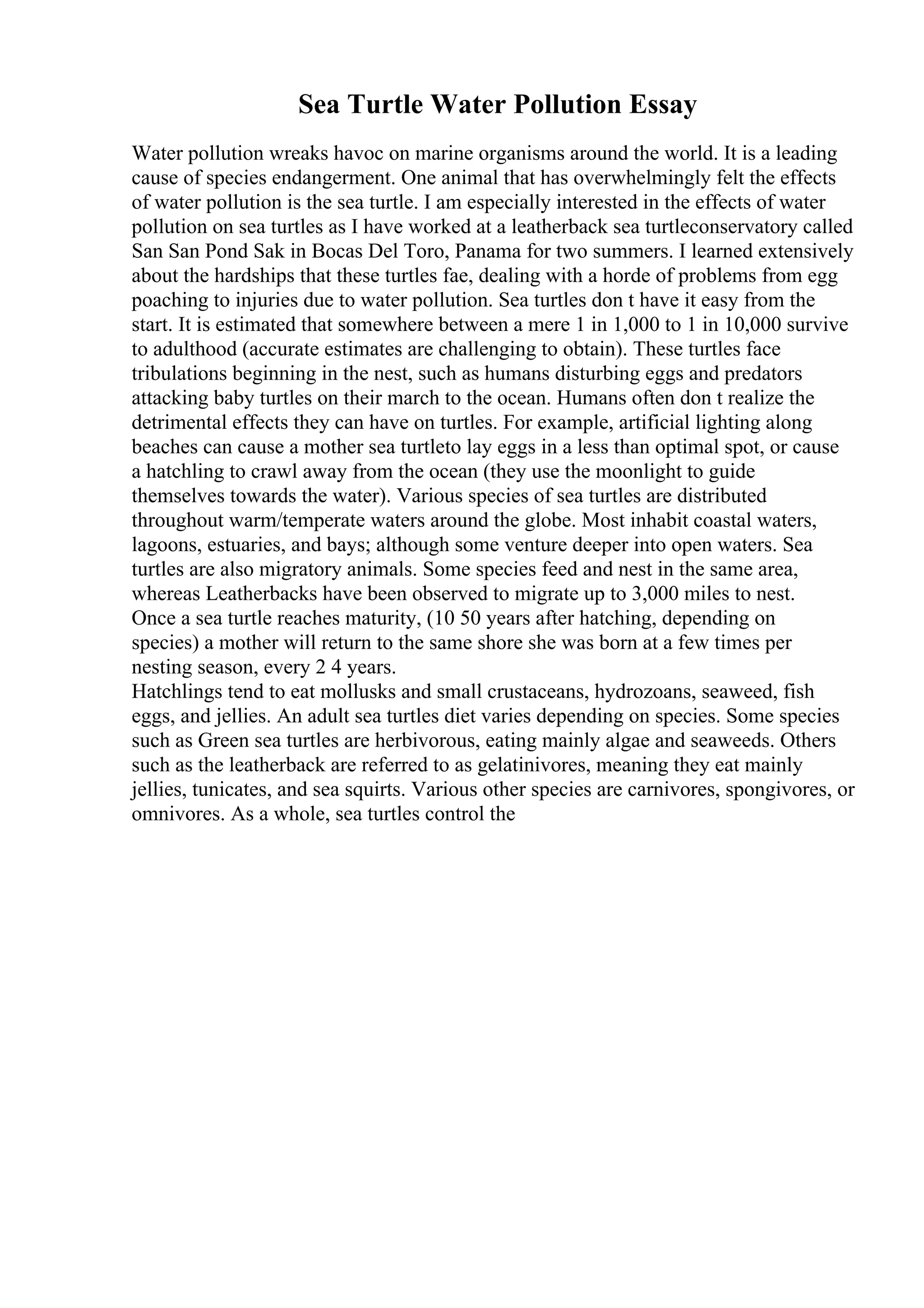 Sea Turtle Water Pollution Essay
Water pollution wreaks havoc on marine organisms around the world. It is a leading
cause of species endangerment. One animal that has overwhelmingly felt the effects
of water pollution is the sea turtle. I am especially interested in the effects of water
pollution on sea turtles as I have worked at a leatherback sea turtleconservatory called
San San Pond Sak in Bocas Del Toro, Panama for two summers. I learned extensively
about the hardships that these turtles fae, dealing with a horde of problems from egg
poaching to injuries due to water pollution. Sea turtles don t have it easy from the
start. It is estimated that somewhere between a mere 1 in 1,000 to 1 in 10,000 survive
to adulthood (accurate estimates are challenging to obtain). These turtles face
tribulations beginning in the nest, such as humans disturbing eggs and predators
attacking baby turtles on their march to the ocean. Humans often don t realize the
detrimental effects they can have on turtles. For example, artificial lighting along
beaches can cause a mother sea turtleto lay eggs in a less than optimal spot, or cause
a hatchling to crawl away from the ocean (they use the moonlight to guide
themselves towards the water). Various species of sea turtles are distributed
throughout warm/temperate waters around the globe. Most inhabit coastal waters,
lagoons, estuaries, and bays; although some venture deeper into open waters. Sea
turtles are also migratory animals. Some species feed and nest in the same area,
whereas Leatherbacks have been observed to migrate up to 3,000 miles to nest.
Once a sea turtle reaches maturity, (10 50 years after hatching, depending on
species) a mother will return to the same shore she was born at a few times per
nesting season, every 2 4 years.
Hatchlings tend to eat mollusks and small crustaceans, hydrozoans, seaweed, fish
eggs, and jellies. An adult sea turtles diet varies depending on species. Some species
such as Green sea turtles are herbivorous, eating mainly algae and seaweeds. Others
such as the leatherback are referred to as gelatinivores, meaning they eat mainly
jellies, tunicates, and sea squirts. Various other species are carnivores, spongivores, or
omnivores. As a whole, sea turtles control the
 