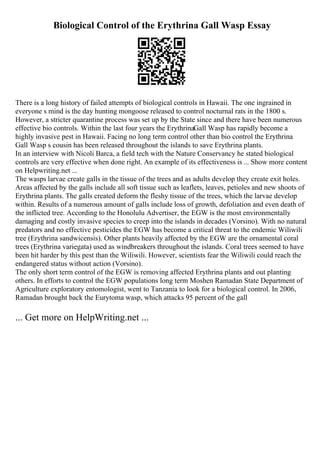 Biological Control of the Erythrina Gall Wasp Essay
There is a long history of failed attempts of biological controls in Hawaii. The one ingrained in
everyone s mind is the day hunting mongoose released to control nocturnal rats in the 1800 s.
However, a stricter quarantine process was set up by the State since and there have been numerous
effective bio controls. Within the last four years the ErythrinaGall Wasp has rapidly become a
highly invasive pest in Hawaii. Facing no long term control other than bio control the Erythrina
Gall Wasp s cousin has been released throughout the islands to save Erythrina plants.
In an interview with Nicoli Barca, a field tech with the Nature Conservancy he stated biological
controls are very effective when done right. An example of its effectiveness is ... Show more content
on Helpwriting.net ...
The wasps larvae create galls in the tissue of the trees and as adults develop they create exit holes.
Areas affected by the galls include all soft tissue such as leaflets, leaves, petioles and new shoots of
Erythrina plants. The galls created deform the fleshy tissue of the trees, which the larvae develop
within. Results of a numerous amount of galls include loss of growth, defoliation and even death of
the inflicted tree. According to the Honolulu Advertiser, the EGW is the most environmentally
damaging and costly invasive species to creep into the islands in decades (Vorsino). With no natural
predators and no effective pesticides the EGW has become a critical threat to the endemic Wiliwili
tree (Erythrina sandwicensis). Other plants heavily affected by the EGW are the ornamental coral
trees (Erythrina variegata) used as windbreakers throughout the islands. Coral trees seemed to have
been hit harder by this pest than the Wiliwili. However, scientists fear the Wiliwili could reach the
endangered status without action (Vorsino).
The only short term control of the EGW is removing affected Erythrina plants and out planting
others. In efforts to control the EGW populations long term Moshen Ramadan State Department of
Agriculture exploratory entomologist, went to Tanzania to look for a biological control. In 2006,
Ramadan brought back the Eurytoma wasp, which attacks 95 percent of the gall
... Get more on HelpWriting.net ...
 