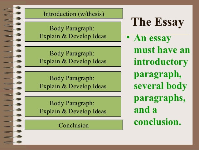 Essay grading