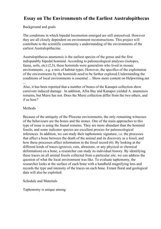 Essay on The Environments of the Earliest Australopithecus
Background and goals
The conditions in which bipedal locomotion emerged are still unresolved. However
they are all closely dependent on environment reconstructions. This project will
contribute to the scientific community s understanding of the environments of the
earliest Australopithecine.
Australopithecus anamensis is the earliest species of the genus and the first
indisputably bipedal hominid. According to paleoecological analyses (isotopes,
fauna, soils, etc) (2,3), these hominids were generalists who lived in mosaic
environments , e.g. a mix of habitat types. However, the specifics of the exploitation
of the environments by the hominids need to be further explored.Understanding the
conditions of local environments is essential ... Show more content on Helpwriting.net
...
Also, it has been reported that a number of bones of the Kanapoi collection show
carnivore induced damage . In addition, Allia Bay and Kanapoi yielded A. anamensis
remains, but Mursi has not. Does the Mursi collection differ from the two others, and
if so how?
Methods
Because of the antiquity of the Pliocene environments, the only remaining witnesses
of the behaviours are the bones and the stones. One of the main approaches to this
type of issue is using the faunal remains. They are more abundant than the hominid
fossils, and some indicator species are excellent proxies for paleoecological
inferences. In addition, we can study their taphonomic signature, i.e. the processes
that affect a bone between the death of the animal and its discovery as a fossil, and
how these processes affect information in the fossil record (6). By looking at the
different kinds of traces (grooves, cuts, abrasions, or any physical or chemical
deformation) on a bone, a researcher can study its individual history. By identifying
these traces on all animal fossils collected from a particular site, we can address the
question of what the local environment was like. To evaluate taphonomy, the
researcher looks at the surface of each bone with a handheld magnifying lens and
records the type and intensity of the traces on each bone. Extant floral and geological
data will also be exploited.
Schedule and Materials
Taphonomy is unique among
 