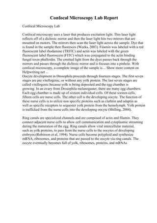Confocal Microscopy Lab Report
Confocal Microscopy Lab
Confocal microscopy uses a laser that produces excitation light. This laser light
reflects off of a dichroic mirror and then the laser light hits two mirrors that are
mounted on motors. The mirrors then scan the laser light across the sample. Dye that
is found in the sample then fluoresces (Weeks, 2003). Filamin was labeled with a red
fluorescent label rhodamine (TRITC) and actin was labeled with the green
fluorescent label fluoroscein (FITC) which was conjugated to the actin binding
fungal toxin phalloidin. The emitted light from the dyes passes back through the
mirrors and passes through the dichroic mirror and is focuses into a pinhole. With
confocal microscopy, a complete image of the sample is ... Show more content on
Helpwriting.net ...
Oocyte development in Drosophila proceeds through fourteen stages. The first seven
stages are pre vitellogenic, or without any yolk protein. The last seven stages are
called vitellogenic because yolk is being deposited and the egg chamber is
growing. In an ovary from Drosophila melanogaster, there are many egg chambers.
Each egg chamber is made up of sixteen individual cells. Of these sixteen cells,
fifteen cells are nurse cells. The other cell is the developing oocyte. The function of
these nurse cells is to utilize non specific proteins such as clathrin and adaptin as
well as specific receptors to sequester yolk protein from the hemolymph. Yolk protein
is trafficked from the nurse cells into the developing oocyte (Shilling, 2004).
Ring canals are specialized channels and are composed of actin and filamin. They
connect adjacent nurse cells to allow cell communication and cytoplasmic streaming
during the maturation of the egg. Ring canals allow vital intercellular material,
such as yolk proteins, to pass from the nurse cells to the oocytes of developing
embryos (Robinson et al, 1994). Nurse cells become polyploid and synthesize
mRNA, ribosomes, and proteins that are passed to the oocyte via ring canals. The
oocyte eventually becomes full of yolk, ribosomes, proteins, and mRNAs
 