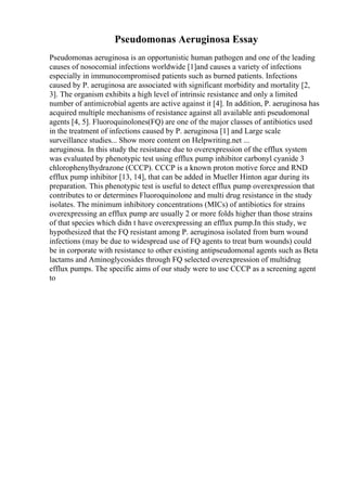 Pseudomonas Aeruginosa Essay
Pseudomonas aeruginosa is an opportunistic human pathogen and one of the leading
causes of nosocomial infections worldwide [1]and causes a variety of infections
especially in immunocompromised patients such as burned patients. Infections
caused by P. aeruginosa are associated with significant morbidity and mortality [2,
3]. The organism exhibits a high level of intrinsic resistance and only a limited
number of antimicrobial agents are active against it [4]. In addition, P. aeruginosa has
acquired multiple mechanisms of resistance against all available anti pseudomonal
agents [4, 5]. Fluoroquinolones(FQ) are one of the major classes of antibiotics used
in the treatment of infections caused by P. aeruginosa [1] and Large scale
surveillance studies... Show more content on Helpwriting.net ...
aeruginosa. In this study the resistance due to overexpression of the efflux system
was evaluated by phenotypic test using efflux pump inhibitor carbonyl cyanide 3
chlorophenylhydrazone (CCCP). CCCP is a known proton motive force and RND
efflux pump inhibitor [13, 14], that can be added in Mueller Hinton agar during its
preparation. This phenotypic test is useful to detect efflux pump overexpression that
contributes to or determines Fluoroquinolone and multi drug resistance in the study
isolates. The minimum inhibitory concentrations (MICs) of antibiotics for strains
overexpressing an efflux pump are usually 2 or more folds higher than those strains
of that species which didn t have overexpressing an efflux pump.In this study, we
hypothesized that the FQ resistant among P. aeruginosa isolated from burn wound
infections (may be due to widespread use of FQ agents to treat burn wounds) could
be in corporate with resistance to other existing antipseudomonal agents such as Beta
lactams and Aminoglycosides through FQ selected overexpression of multidrug
efflux pumps. The specific aims of our study were to use CCCP as a screening agent
to
 