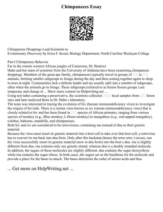 Chimpanzees Essay
Chimpanzee Droppings Lead Scientists to
Evolutionary Discovery by Erica F. Kosal, Biology Department, North Carolina Wesleyan College
Part I Chimpanzee Behavior
Far in the remote western African jungles of Cameroon, Dr. Beatrice
Hahn and her team of scientists from the University of Alabama have been examining chimpanzee
droppings. Members of the great ape family, chimpanzees typically travel in groups of  to 
animals, forming smaller subgroups to forage during the day and then coming together again to sleep
in trees at night. Communities lack a deﬁnite leader and are usually split into a number of subgroups,
often when the animals go to forage. These subgroups (referred to as fusion ﬁssion groups ) are
temporary and change in ... Show more content on Helpwriting.net ...
Using test tubes containing a preservative, the scientists collected  fecal samples from  forest
sites and later analyzed them in Dr. Hahn s laboratory.
The team was interested in tracing the evolution of hiv (human immunodeﬁciency virus) to investigate
the origins of hiv/aids. There is a simian virus known as siv (simian immunodeﬁciency virus) that is
closely related to hiv and has been found in  species of African primates, ranging from various
species of monkey (e.g., Blue monkey, L Hoest monkey) to mangabeys (e.g., red capped mangabey),
colobus, baboons, mandrills, and chimpanzees.
Both hiv and siv are considered to be retroviruses, containing rna instead of dna as their genetic
material.
Because the virus must insert its genetic material into a host cell to take over that host cell, a retrovirus
has to convert its rna back into dna form. Only after this backstep (hence the term retro ) occurs, can
the virus successfully insert its genetic material (now in dna form) into the host s dna. rna is slightly
diﬀerent from dna. rna contains only one genetic strand, whereas dna is a doubly stranded molecule.
In addition, the sugars of these molecules are slightly diﬀerent. dna contains the sugar deoxyribose
while rna contains the sugar ribose. In both cases, the sugars act as the backbone for the molecule and
provide a place for the bases to attach. The bases determine the order of amino acids and thus
... Get more on HelpWriting.net ...
 