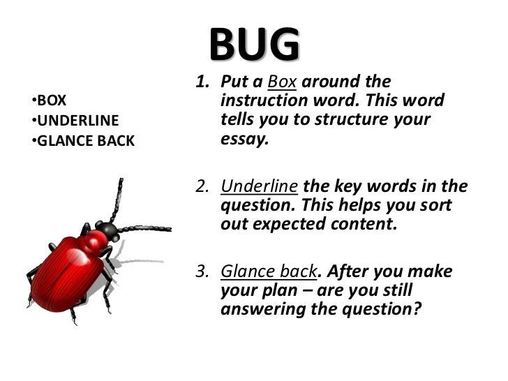 bug technique essay writing