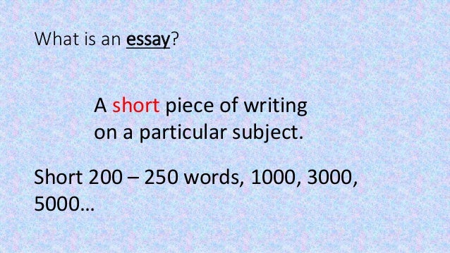 What is short essay