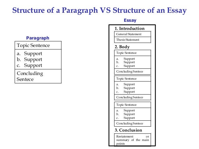 Overview essay writing