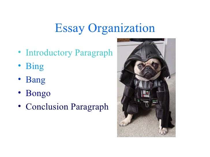 Five paragraph essay bing bang bongo
