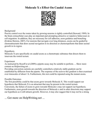 Molecule X s Effect On Caudal Axons
Background
Precise control over the routes taken by growing neurons is tightly controlled (Steward, 1989). In
the brain extracellular cues play an important part prompting attractive or repulsive behaviours in
cell migration. In addition, they are necessary for cell adhesion, axon guidance and branching
(Erskine Herrera, 2007). For neurons that navigate over long distances, axons can be guided by
chemoattractants that draw axonal navigation in its direction or chemorepellents that deter axonal
growth in its region.
Hypothesis
Molecule X acts specifically on caudal axons as a chemotropic substance that directs them to
innervate the rostral tectum.
Experiment
As instructed by Rosoff et al (2009) a pipette assay may be suitable to perform. ... Show more
content on Helpwriting.net ...
Providing convection currents are carefully controlled a relatively stable gradient can be
established by diffusion from the pipette. The response of the axon to this gradient is then examined
over timescales of about 1 h. Furthermore, this test could be repeated using the mutant axons.
Possible Outcomes
The first possibility could be that axons grow towards Molecule X. This would support our
hypothesis that Molecule X is an attractant that may be present in the rostral tectum.
Conversely, the failure of axons to grow towards Molecule x may not support our hypothesis.
Furthermore, axon growth towards the direction of Molecule x and in other directions may support
our hypothesis as it still attracts growth. However, it may also suggest that it may not be a strong
... Get more on HelpWriting.net ...
 