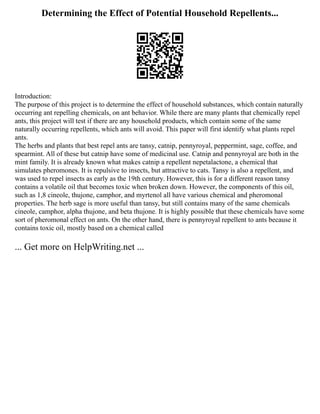 Determining the Effect of Potential Household Repellents...
Introduction:
The purpose of this project is to determine the effect of household substances, which contain naturally
occurring ant repelling chemicals, on ant behavior. While there are many plants that chemically repel
ants, this project will test if there are any household products, which contain some of the same
naturally occurring repellents, which ants will avoid. This paper will first identify what plants repel
ants.
The herbs and plants that best repel ants are tansy, catnip, pennyroyal, peppermint, sage, coffee, and
spearmint. All of these but catnip have some of medicinal use. Catnip and pennyroyal are both in the
mint family. It is already known what makes catnip a repellent nepetalactone, a chemical that
simulates pheromones. It is repulsive to insects, but attractive to cats. Tansy is also a repellent, and
was used to repel insects as early as the 19th century. However, this is for a different reason tansy
contains a volatile oil that becomes toxic when broken down. However, the components of this oil,
such as 1,8 cineole, thujone, camphor, and myrtenol all have various chemical and pheromonal
properties. The herb sage is more useful than tansy, but still contains many of the same chemicals
cineole, camphor, alpha thujone, and beta thujone. It is highly possible that these chemicals have some
sort of pheromonal effect on ants. On the other hand, there is pennyroyal repellent to ants because it
contains toxic oil, mostly based on a chemical called
... Get more on HelpWriting.net ...
 
