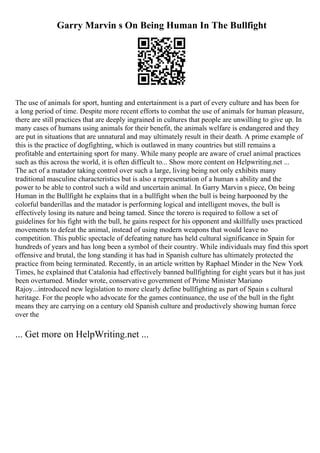 Garry Marvin s On Being Human In The Bullfight
The use of animals for sport, hunting and entertainment is a part of every culture and has been for
a long period of time. Despite more recent efforts to combat the use of animals for human pleasure,
there are still practices that are deeply ingrained in cultures that people are unwilling to give up. In
many cases of humans using animals for their benefit, the animals welfare is endangered and they
are put in situations that are unnatural and may ultimately result in their death. A prime example of
this is the practice of dogfighting, which is outlawed in many countries but still remains a
profitable and entertaining sport for many. While many people are aware of cruel animal practices
such as this across the world, it is often difficult to... Show more content on Helpwriting.net ...
The act of a matador taking control over such a large, living being not only exhibits many
traditional masculine characteristics but is also a representation of a human s ability and the
power to be able to control such a wild and uncertain animal. In Garry Marvin s piece, On being
Human in the Bullfight he explains that in a bullfight when the bull is being harpooned by the
colorful banderillas and the matador is performing logical and intelligent moves, the bull is
effectively losing its nature and being tamed. Since the torero is required to follow a set of
guidelines for his fight with the bull, he gains respect for his opponent and skillfully uses practiced
movements to defeat the animal, instead of using modern weapons that would leave no
competition. This public spectacle of defeating nature has held cultural significance in Spain for
hundreds of years and has long been a symbol of their country. While individuals may find this sport
offensive and brutal, the long standing it has had in Spanish culture has ultimately protected the
practice from being terminated. Recently, in an article written by Raphael Minder in the New York
Times, he explained that Catalonia had effectively banned bullfighting for eight years but it has just
been overturned. Minder wrote, conservative government of Prime Minister Mariano
Rajoy...introduced new legislation to more clearly define bullfighting as part of Spain s cultural
heritage. For the people who advocate for the games continuance, the use of the bull in the fight
means they are carrying on a century old Spanish culture and productively showing human force
over the
... Get more on HelpWriting.net ...
 