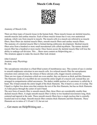 Muscle Cells Essay
Anatomy of Muscle Cells
There are three types of muscle tissue in the human body. These muscle tissues are skeletal muscles,
smooth muscles and cardiac muscles. Each of these muscle tissues has it very own anatomical
makeup, which vary from muscle to muscle. The muscle cells in a muscle are referred to as muscle
fibers, these fibers are skeletal muscle fibers, smooth muscle fibers and cardiac muscle fibers.
The anatomy of a skeletal muscle fiber is formed during embryonic development. Skeletal muscle
fibers arise from a hundred or more small mesodermal cells called myoblasts. The mature skeletal
muscle fiber has a hundred or more nuclei. Once fusion occurs the skeletal muscle fiber will lose the
ability to undergo cell division. This ... Show more content on Helpwriting.net ...
The striations appear to make the muscle fiber look striated.
John Centore3
Anatomy amp; Physiology
Dr. Jain
The sarcoplasmic reticulum is a fluid filled system of membranous sacs. This system of sacs is similar
to smooth endplasmic reticulum in non muscle cells. In a relaxed muscle fiber the sarcoplasmic
reticulum store calcium ions, the release of these calcium cells, trigger muscle contraction.
There are two types of structures which are even smaller, they are known as thick and thin filaments.
The filaments inside of a myofibril do not extend the entire length of a muscle cell, instead they are
arranged in compartments called sarcomeres. The darker middle portion of a sarcomere is called the A
band. The A band extends the entire length of the thick filaments. The A band is a zone of overlap. The
I band is a lighter less dense area that contains the rest of the thin filaments, but has no thick filaments.
A Z disk passes through the center of each I band.
The next form of muscle fiber is smooth muscle fiber, these fibers are considerably smaller than
skeletal muscle fibers. A single smooth muscle fiber is thirty to two hundred micrometers long, thick
centered and tapered at the ends. These smooth muscle fibers have a single nucleus that is centrally
located and oval in shape. Smooth muscle fiber contains thick filaments and thin filaments. These
filaments are in ratios of 1:10 and 1:15, but are not
... Get more on HelpWriting.net ...
 