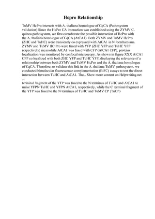 Hcpro Relationship
TuMV HcPro interacts with A. thaliana homologue of CqCA (Pathosystem
validation) Since the HcPro CA interaction was established using the ZYMV C.
quinoa pathosystem, we first corroborate the possible interaction of HcPro with
the A. thaliana homologue of CqCA (AtCA1). Both ZYMV and TuMV HcPro
(ZHC and TuHC) were transiently co expressed with AtCA1 in N. benthamiana.
ZYMV and TuMV HC Pro were fused with YFP (ZHC YFP and TuHC YFP
respectively) meanwhile AtCA1 was fused with CFP (AtCA1 CFP), proteins
localization was monitored by confocal microscopy. As shown in figure XXX AtCA1
CFP co localized with both ZHC YFP and TuHC YFP, displaying the relevance of a
relationship between both ZYMV and TuMV HcPro and the A. thaliana homologue
of CqCA. Therefore, to validate this link in the A. thaliana TuMV pathosystem, we
conducted bimolecular fluorescence complementation (BiFC) assays to test the direct
interaction between TuHC and AtCA1. The... Show more content on Helpwriting.net
...
terminal fragment of the YFP was fused to the N terminus of TuHC and AtCA1 to
make YFPN TuHC and YFPN AtCA1, respectively, while the C terminal fragment of
the YFP was fused to the N terminus of TuHC and TuMV CP (TuCP)
 