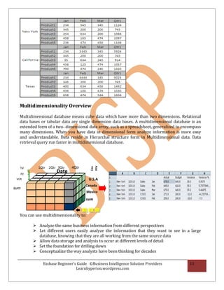 Essbase beginner's guide olap fundamental chapter 1 | PDF