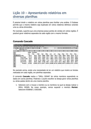 Lição 10 – Apresentando relatórios em
diversas planilhas
É possível dividir o relatório em várias planilhas para facilitar uma análise. O Essbase
permite que o mesmo relatório seja duplicado em vários relatórios idênticos variando
uma ou várias dimensões.

Por exemplo, suponha que uma empresa possui pontos de vendas em várias regiões. É
possível gerar relatórios separados de cada região com o mesmo formato.



Comando Cascade




No exemplo acima, existe uma necessidade de ter um relatório que mostre as Vendas
realizadas em cada região, em planilhas separadas.

O comando Cascade realiza o “DRILL DOWN” de vários membros expandindo os
dados em outras planilhas. Podendo o usuário escolher se deseja gerar várias planilhas
ou várias pastas dentro de uma mesma planilha.

   1. Selecione com o mouse o membro ou os membros na qual se deseja realizar o
      DRILL DOWN. No nosso exemplo, vamos expandir o membro Market.
      Selecione ESSBASE | CASCADE.
 