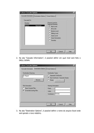 2. Na aba “Cascade Information”, é possível definir em qual nível será feito o
   DRILL DOWN.




3. Na aba “Destination Options”, é possível definir o nome do arquivo Excel onde
   será gerado o novo relatório.
 