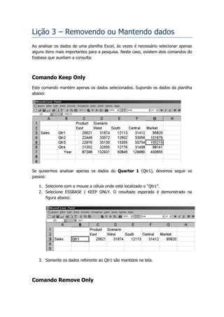 Lição 3 – Removendo ou Mantendo dados
Ao analisar os dados de uma planilha Excel, às vezes é necessário selecionar apenas
alguns itens mais importantes para a pesquisa. Neste caso, existem dois comandos do
Essbase que auxiliam a consulta:



Comando Keep Only
Este comando mantém apenas os dados selecionados. Supondo os dados da planilha
abaixo:




Se quisermos analisar apenas os dados do Quarter 1 (Qtr1), devemos seguir os
passos:

   1. Selecione com o mouse a célula onde está localizado o “Qtr1”.
   2. Selecione ESSBASE | KEEP ONLY. O resultado esperado é demonstrado na
      figura abaixo:




   3. Somente os dados referente ao Qtr1 são mantidos na tela.



Comando Remove Only
 