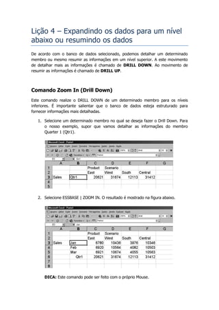 Lição 4 – Expandindo os dados para um nível
abaixo ou resumindo os dados
De acordo com o banco de dados selecionado, podemos detalhar um determinado
membro ou mesmo resumir as informações em um nível superior. A este movimento
de detalhar mais as informações é chamado de DRILL DOWN. Ao movimento de
resumir as informações é chamado de DRILL UP.



Comando Zoom In (Drill Down)
Este comando realize o DRILL DOWN de um determinado membro para os níveis
inferiores. É importante salientar que o banco de dados esteja estruturado para
fornecer informações mais detalhadas.

   1. Selecione um determinado membro no qual se deseja fazer o Drill Down. Para
      o nosso exemplo, supor que vamos detalhar as informações do membro
      Quarter 1 (Qtr1).




   2. Selecione ESSBASE | ZOOM IN. O resultado é mostrado na figura abaixo.




      DICA: Este comando pode ser feito com o próprio Mouse.
 