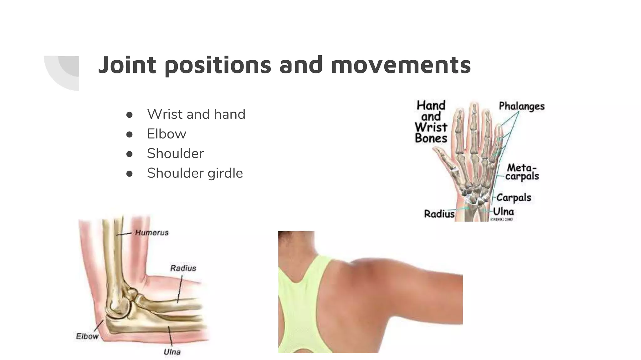 Joint positions and movements
● Wrist and hand
● Elbow
● Shoulder
● Shoulder girdle