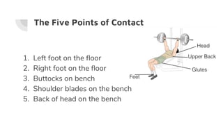 The Five Points of Contact
1. Left foot on the floor
2. Right foot on the floor
3. Buttocks on bench
4. Shoulder blades on the bench
5. Back of head on the bench
 