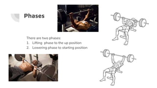 Phases
There are two phases:
1. Lifting phase to the up position
2. Lowering phase to starting position
 
