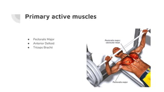 Primary active muscles
● Pectoralis Major
● Anterior Deltoid
● Triceps Brachii
 