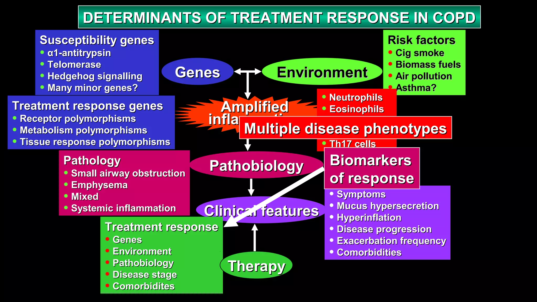 GenesGenes EnvironmentEnvironment
PathobiologyPathobiology
Clinical featuresClinical features
AmplifiedAmplified
inflammationinflammation
Susceptibility genesSusceptibility genes
• α1-antitrypsinα1-antitrypsin
• TelomeraseTelomerase
• Hedgehog signallingHedgehog signalling
• Many minor genes?Many minor genes?
Treatment response genesTreatment response genes
• Receptor polymorphismsReceptor polymorphisms
• Metabolism polymorphismsMetabolism polymorphisms
• Tissue response polymorphismsTissue response polymorphisms
Risk factorsRisk factors
• Cig smokeCig smoke
• Biomass fuelsBiomass fuels
• Air pollutionAir pollution
• Asthma?Asthma?
• NeutrophilsNeutrophils
• EosinophilsEosinophils
• MacrophagesMacrophages
• Tc1 cellsTc1 cells
• Th17 cellsTh17 cells
PathologyPathology
• Small airway obstructionSmall airway obstruction
• EmphysemaEmphysema
• MixedMixed
• Systemic inflammationSystemic inflammation
• SymptomsSymptoms
• Mucus hypersecretionMucus hypersecretion
• HyperinflationHyperinflation
• Disease progressionDisease progression
• Exacerbation frequencyExacerbation frequency
• ComorbiditiesComorbidities
Treatment responseTreatment response
• GenesGenes
• EnvironmentEnvironment
• PathobiologyPathobiology
• Disease stageDisease stage
• ComorbiditesComorbidites
TherapyTherapy
DETERMINANTS OF TREATMENT RESPONSE IN COPDDETERMINANTS OF TREATMENT RESPONSE IN COPD
Multiple disease phenotypesMultiple disease phenotypes
BiomarkersBiomarkers
of responseof response
 