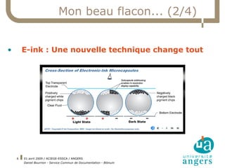 Essca Angers 01 Avril 2009