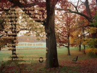 Por que a sua idade mente? Envelhecer é fazer da abobrinha o prato do dia e do açúcar a festa de domingo. Envelhecer é comer pela manhã, exercitar o corpo à tarde e relaxar ao anoitecer. Envelhecer é trazer no peito a medalha dos filhos, dos netos, dos bisnetos... Envelhecer é dar o colo confortável, o ombro, o abraço, o beijo apaixonado na face de um mimo querido. Saber envelhecer é qualquer carinho! 