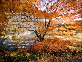 Envelhecer é estar de bem com as árvores, é ver o pássaro colorido, é respeitar o tempo da felicidade, é gostar-se como se gosta dos amigos. Envelhecer é cantar, dançar, acreditar na sabedoria Envelhecer é algo que me anima, possui ritmo e melodia. 