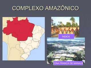 COMPLEXO AMAZÔNICOCOMPLEXO AMAZÔNICO
ZONA FRANCA DE MANAUS
ÍNDIOS
 