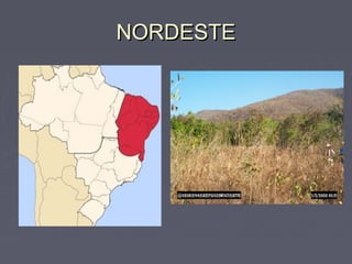 NORDESTENORDESTE
 