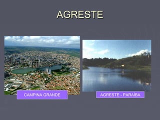 AGRESTEAGRESTE
AGRESTE - PARAÍBACAMPINA GRANDE
 