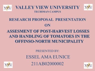VALLEY VIEW UNIVERSITY
TECHIMAN CAMPUS

RESEARCH PROPOSAL PRESENTATION
ON

ASSESMENT OF POST-HARVEST LOSSES
AND HANDLING OF TOMATOES IN THE
OFFINSO-NORTH MUNICIPALITY
PRESENTED BY:

ESSEL AMA EUNICE
211AB02000002

 