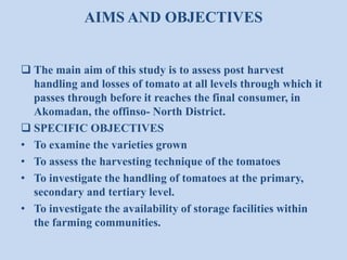 AIMS AND OBJECTIVES
 The main aim of this study is to assess post harvest
handling and losses of tomato at all levels through which it
passes through before it reaches the final consumer, in
Akomadan, the offinso- North District.
 SPECIFIC OBJECTIVES
• To examine the varieties grown
• To assess the harvesting technique of the tomatoes
• To investigate the handling of tomatoes at the primary,
secondary and tertiary level.
• To investigate the availability of storage facilities within
the farming communities.

 