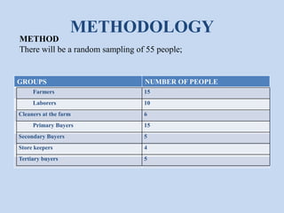 METHODOLOGY

METHOD
There will be a random sampling of 55 people;

GROUPS

NUMBER OF PEOPLE

Farmers

15

Laborers

10

Cleaners at the farm

6

Primary Buyers

15

Secondary Buyers

5

Store keepers

4

Tertiary buyers

5

 