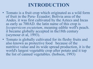 INTRODUCTION
• Tomato is a fruit crop which originated as a wild form
of fruit in the Peru- Ecuador; Bolivia area of the
Andes. it was first cultivated by the Aztecs and Incas
as early as 700AD. the latin name of this crop is
lycopersicon escutetum, meaning edible wolf's peach.
it became globally accepted in the18th century
(seymour et al, 1993).
• Tomato is globally cultivated for its fleshy fruits and
also known as protective food because of the
nutritive value and its wide spread production, it is the
world's largest vegetable crop after potato and it top
the list of canned vegetables. (hobson, 1993)

 