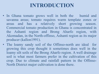 INTRODUCTION
• In Ghana tomato grows well in both the
humid and
savanna areas; tomato requires warm template zones or
areas and has a relatively short growing season.
Commercial tomato production in Ghana is concentrated in
the Ashanti region and Brong Aharfo region, with
Akomadan, in the North-offinso, Ashanti region as its major
producer (kallon1991).
• The loamy sandy soil of the Offinso-north are ideal for
growing this crop thought it sometimes does well in the
loamy silt soils of the Brong Aharfo region. A well drainage
soil is what most farmers prefer in the cultivation of this
crop. Due to climate and rainfall pattern in the OffinsoNorth District major cultivation is done there.

 