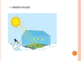  GREEN HOUSE
 