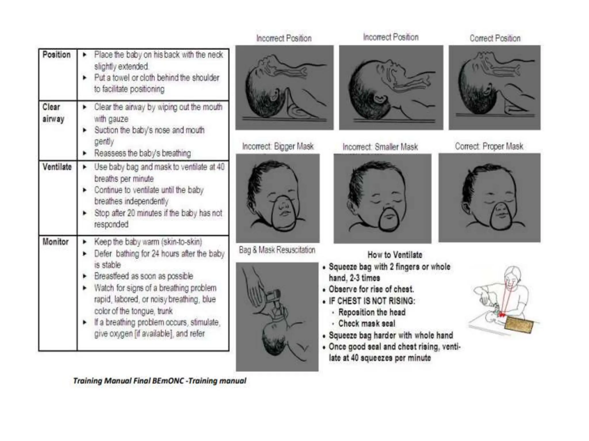 essenial newborn care for Mw students .pptx