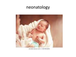 neonatology
 