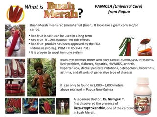 PANACEA (Universal Cure)
from Papua
Buah Merah helps those who have cancer, tumor, cyst, infections,
liver problem, diabetes, hepatitis, HIV/AIDS, arthritis,
hypertension, stroke, prostate irritations, osteoporosis, bronchitis,
asthma, and all sorts of generative type of diseases
What is
?
Buah Merah means red (merah) fruit (buah). It looks like a giant corn and/or
carrot.
• Red fruit is safe, can be used in a long term
• Red fruit is 100% natural - no side effects
• Red fruit product has been approved by the FDA
Indonesia (No.Reg. POM TR. 053 642 731)
• It is proven to boost immune system
It can only be found in 2,000 – 3,000 meters
above sea level in Papua New Guinea
A Japanese Doctor, Dr. Nishigaki T.
first discovered the presence of
Beta-cryptoxanthin, one of the carotenoids,
in Buah Merah.
 