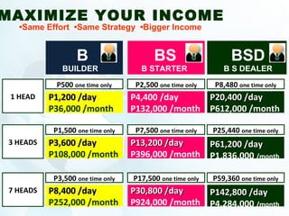 1 HEAD P1,200 /dayP1,200 /day
P36,000 /month
BS
B STARTER B S DEALER
BSDB
BUILDER
3 HEADS P3,600 /dayP3,600 /day
P108,000 /month
7 HEADS P8,400 /dayP8,400 /day
P252,000 /month
P500 one time only
P1,500 one time only
P3,500 one time only
P13,200 /dayP13,200 /day
P396,000 /month
P30,800 /dayP30,800 /day
P924,000 /month
P2,500 one time only
P7,500 one time only
P17,500 one time only
P20,400 /dayP20,400 /day
P612,000 /month
P61,200 /dayP61,200 /day
P1,836,000 /month
P142,800 /dayP142,800 /day
P4,284,000 /month
P8,480 one time only
P25,440 one time only
P59,360 one time only
P4,400 /day
P132,000 /month
MAXIMIZE YOUR INCOME
•Same Effort •Same Strategy •Bigger Income
 