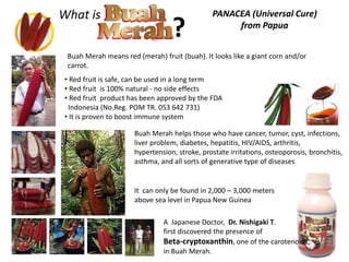 PANACEA (Universal Cure)
from Papua
Buah Merah helps those who have cancer, tumor, cyst, infections,
liver problem, diabetes, hepatitis, HIV/AIDS, arthritis,
hypertension, stroke, prostate irritations, osteoporosis, bronchitis,
asthma, and all sorts of generative type of diseases
What is
?
Buah Merah means red (merah) fruit (buah). It looks like a giant corn and/or
carrot.
• Red fruit is safe, can be used in a long term
• Red fruit is 100% natural - no side effects
• Red fruit product has been approved by the FDA
Indonesia (No.Reg. POM TR. 053 642 731)
• It is proven to boost immune system
It can only be found in 2,000 – 3,000 meters
above sea level in Papua New Guinea
A Japanese Doctor, Dr. Nishigaki T.
first discovered the presence of
Beta-cryptoxanthin, one of the carotenoids,
in Buah Merah.
 