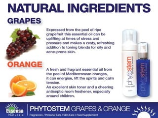 Essensa Naturale business presentation