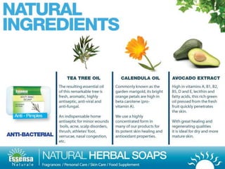 Essensa Naturale business presentation