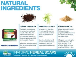 Essensa Naturale business presentation